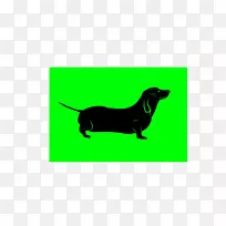 达克斯狗繁殖长方形-小狗