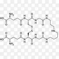 色氨酸硫肽谷胱甘肽酶底物重复性研究