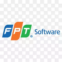 集团计算机软件开发信息技术fpt软件业务