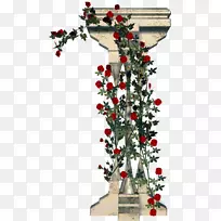 花园玫瑰柱漫步器.玫瑰花设计.柱