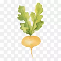 叶菜萝卜青菜片：对初学者水彩画的启示和实用建议-蔬菜