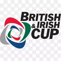 英国和爱尔兰狮子2017-18英国和爱尔兰杯伦敦苏格兰F.C。蒙斯特橄榄球-亚里士多德