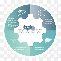 法尼类x受体依从胆酸胆汁酸肝截留药物-医师助理