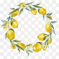 当生活给你柠檬时，制作柠檬水相框-柠檬