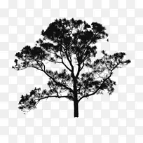 树枝灌木轮廓-平面图树