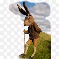 野兔动物艺术家-兔子