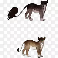 美洲狮，大猫，狮子，陆生动物-猫