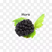 黑莓水果阿莫拉图像分辨率-黑莓