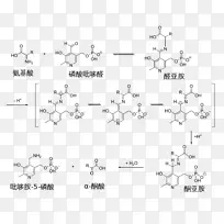 转胺吡啶磷酸酯反应机理希夫碱