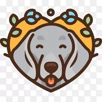 Weimaraner布拉科犬科小狗熊-小狗