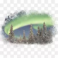 加拿大的桌面壁纸北林大世界桌面环境-美丽的风景