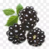 黑莓有机食品，糖果，果汁，露珠-黑莓
