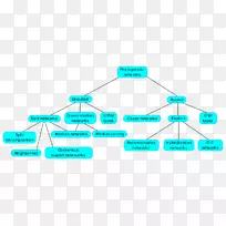系统发育网络系统发育树