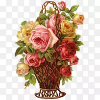 花园玫瑰，卷心菜，玫瑰，花卉设计，花束，Bokm rke-花