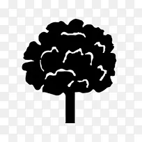 白色黑色m字型-榆树