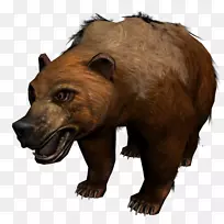 灰熊阿拉斯加半岛棕熊陆生动物皮毛熊