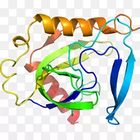 线点生物剪贴画线