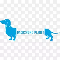 dachshund标志海报-dachshund卡通