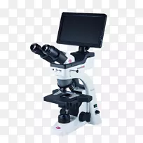 光学显微镜数码显微镜照相机显微镜