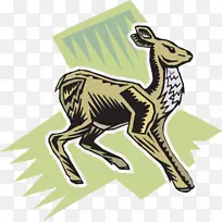 长颈鹿夹艺术长颈鹿