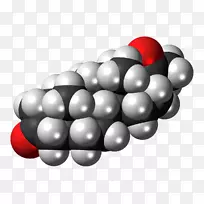 孕酮分子类固醇皮质醇填充模型-体重指数