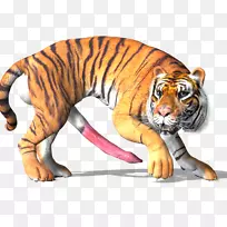 老虎大猫野生动物-老虎3D