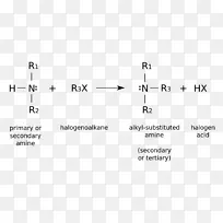 烷基化正丁胺有机化学官能团加尺寸