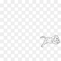 养猫爪指头犬