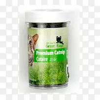 猫，狗，植物，猫玩和玩具-猫
