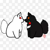 胡须小猫黑猫狗小猫