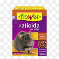 鼠类灭鼠诱饵种农药-大鼠