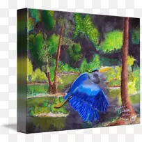 马约瑞尔花园喙，马约瑞尔蓝生态系统动物群-绘画
