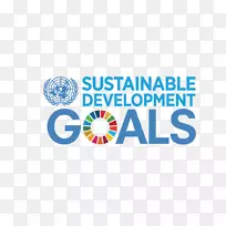 联合国可持续发展目标国际秘书长