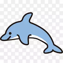 普通宽吻海豚图库溪短喙海豚粗齿海豚