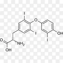 来曲唑分子芳香化酶雌激素-甲状腺