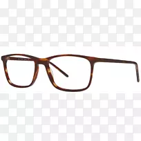 太阳镜，护目镜，眼镜，内腔光学.眼镜