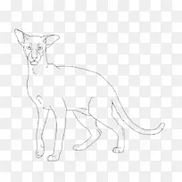 胡须猫狮子红狐狸狗猫
