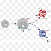 免疫系统单细胞测序趋化因子受体RNA-seq-科学