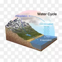 天主教佩洛塔斯大学水循环水资源科学