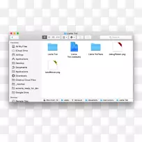 计算机程序MacOS计算机图标操作系统.铅球