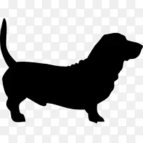 巴塞特猎犬，达克斯犬，苏格兰猎犬，彭布罗克，威尔士，科吉小狗-小狗