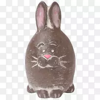 家兔复活节兔子伊莎贝尔开蛋褐蛋