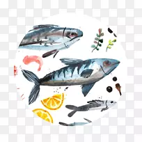 贝类海鲜沙丁鱼
