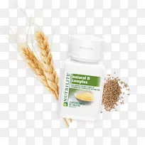 谷物胚芽草小麦商品