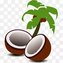 椰子槟榔科树夹艺术-椰子