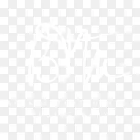 法国骑士弗兰克商业地产