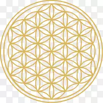 埃及阿比多斯重叠圆网格符号神圣几何学符号