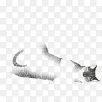 胡须小猫毛皮画/m/02csf-Kitten
