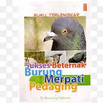 一本新颖的印尼鸟食书