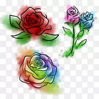 花园玫瑰，卷心菜，玫瑰，彩虹，玫瑰，花卉设计